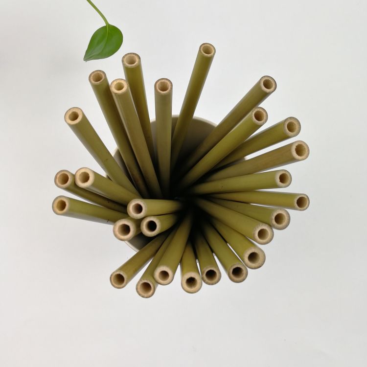 bamboo straws