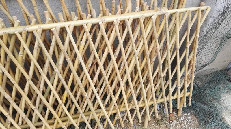 bamboo fences